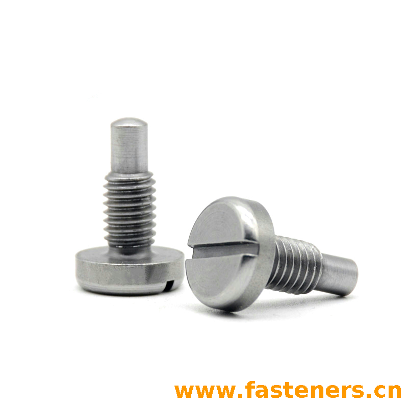 GB/T828 Slotted Pan Head Set Screws with Dog Point